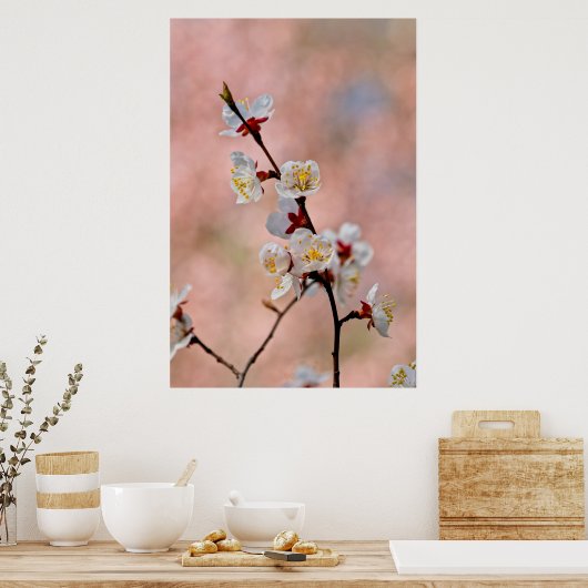 Poster Fleurs japonaises d'abricot (Cuisine)