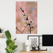 Poster Fleurs japonaises d'abricot (Bureau à domicile)