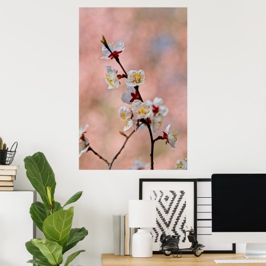 Poster Fleurs japonaises d'abricot (Bureau à domicile)