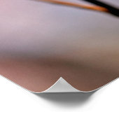 Poster Fleurs japonaises d'abricot (Coin)