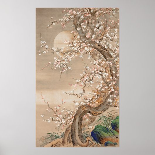 Poster Fleurs japonaises de prune au clair de lune (Devant)