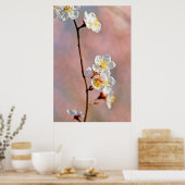 Poster Fleurs japonaises fascinantes d'abricot (Cuisine)