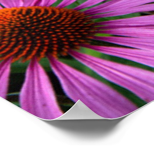 Poster Fleurs | Jardin aux fleurs roses (Coin)