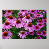 Poster Fleurs | Jardin aux fleurs roses (Devant)