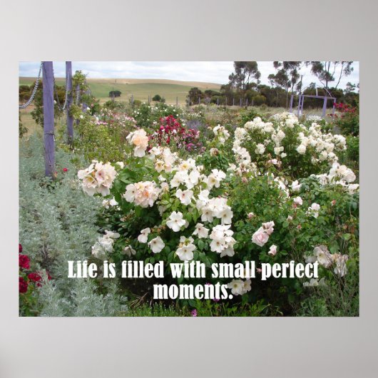 Poster Fleurs Jardin Plein De Moments Parfaits (Devant)