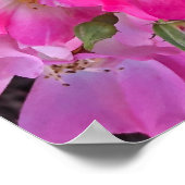 Poster Fleurs Jardin Rose Photo Décor Maison (Coin)