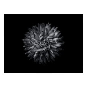 Poster Fleurs jardins En Noir Et Blanc 20