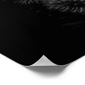 Poster Fleurs jardins En Noir Et Blanc No 29 (Coin)