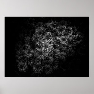 Poster Fleurs jardins En Noir Et Blanc No 29