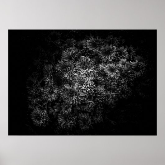 Poster Fleurs jardins En Noir Et Blanc No 29 (Devant)