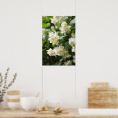 Poster Fleurs jasmin dans le jardin (Cuisine)