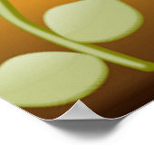 POSTER FLEURS JAUNES (Coin)