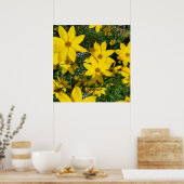 Poster fleurs jaunes (Cuisine)