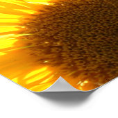 Poster Fleurs jaunes (Coin)