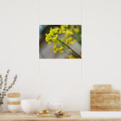 Poster Fleurs jaunes (Cuisine)