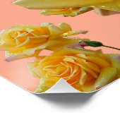 Poster Fleurs jaunes (Coin)