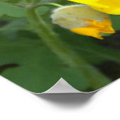 Poster Fleurs Jaunes (Coin)