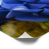 Poster Fleurs Jaunes Bleues Avec Papillons (Coin)