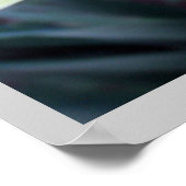 Poster Fleurs Jaunes Daffodils Daffodil Photo (Coin)