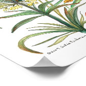 Poster Fleurs jaunes d'or 52 Poster-A (Coin)