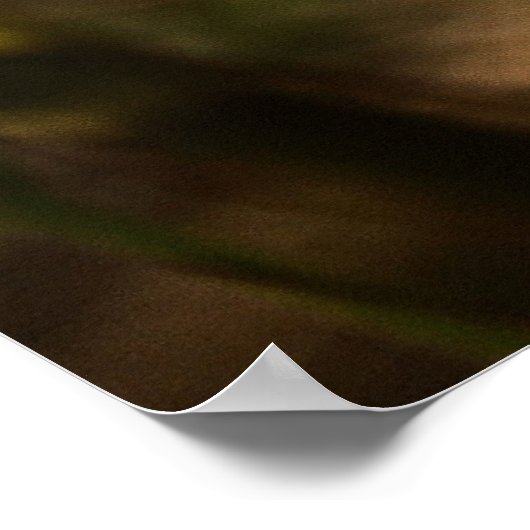 Poster Fleurs jaunes dorées et papillon (Coin)