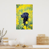 Poster fleurs jaunes du Labrador (Cuisine)