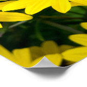 Poster Fleurs Jaunes Lumineuses (Coin)