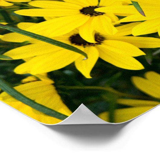 Poster Fleurs Jaunes Lumineuses (Coin)
