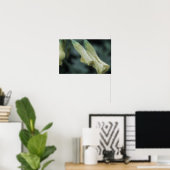 Poster Fleurs jaunes - Rosée du matin (Bureau à domicile)