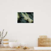 Poster Fleurs jaunes - Rosée du matin (Cuisine)