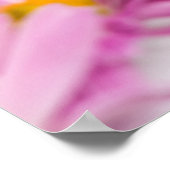 Poster Fleurs Jaunes Roses Arrière - plan sans couture (Coin)