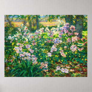 Poster Fleurs jolies vintages Illustration Fleurs blanche