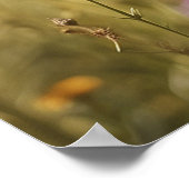 Poster *~*  Fleurs Kitty 5:4  Chat Chat Papillon AP68 (Coin)