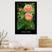 Poster Fleurs Lantana, Imprimer (Cuisine)