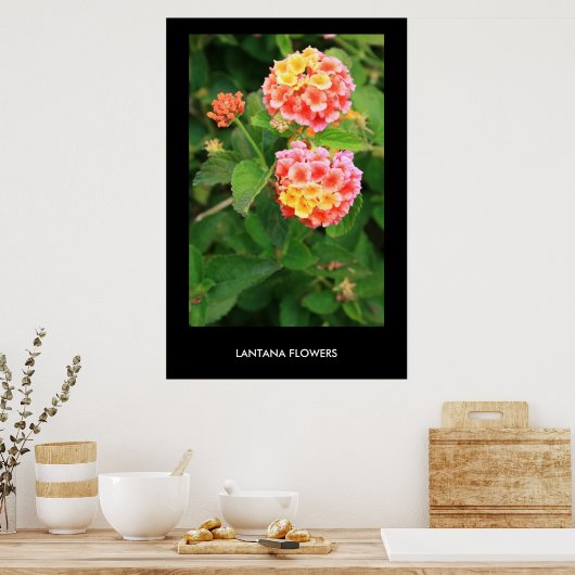 Poster Fleurs Lantana, Imprimer (Cuisine)