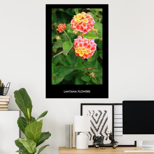 Poster Fleurs Lantana, Imprimer (Bureau à domicile)