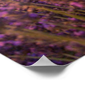 Poster Fleurs | Lavande Sud France (Coin)