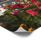 Poster Fleurs Le Long D'Une Rue Dans Un Quartier Résident (Coin)