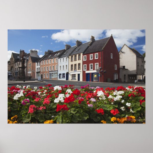 Poster Fleurs Le Long D'Une Rue Dans Un Quartier Résident (Devant)