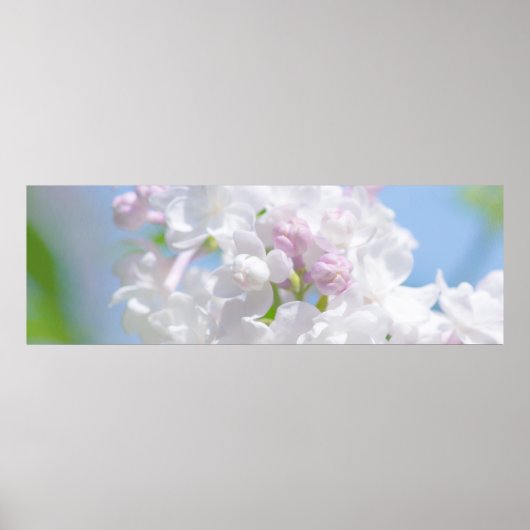 Poster Fleurs Lilac (Devant)