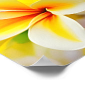 Poster fleurs lilas jaune (Coin)