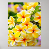 Poster fleurs lilas jaune (Devant)