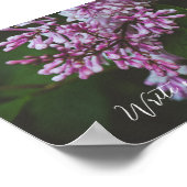 Poster Fleurs lilas violettes après la pluie (Coin)