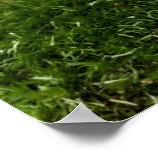 Poster Fleurs | Lily de la vallée Suède (Coin)