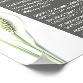 Poster Fleurs Lily, Maison funéraire, Directeurs (Coin)