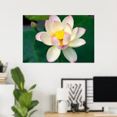 Poster Fleurs | Lotus Water Flower (Bureau à domicile)