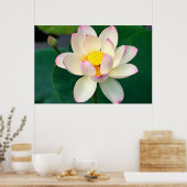 Poster Fleurs | Lotus Water Flower (Cuisine)