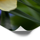 Poster Fleurs lumineuses (Coin)