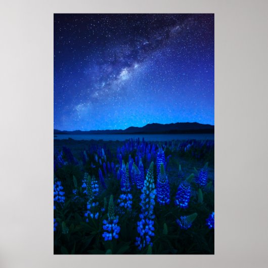 Poster Fleurs | Lupines fleurissant à Night Lake Tekapo (Devant)
