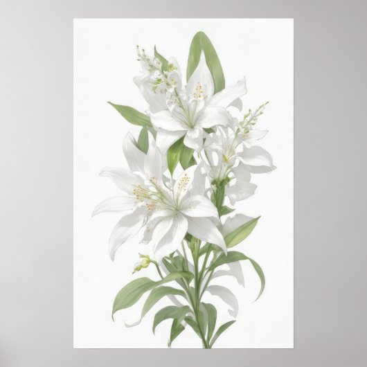 Poster Fleurs Lys Blanches (Devant)
